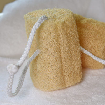 loofah, loofa, lufa, shower loofah